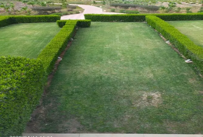 106031908 - Property Image 3