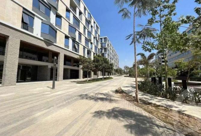 57493607 - Property Image 3