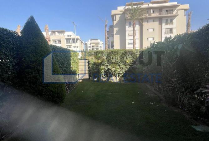 66427344 - Property Image 3