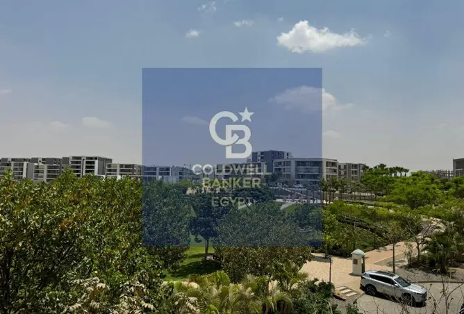 116492575 - صورة العقار 3