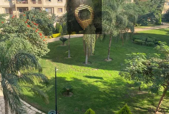 112431711 - صورة العقار 2