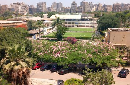 Apartment - 2 Bedrooms - 3 Bathrooms for rent in Shooting Club Street - Dokki - Giza