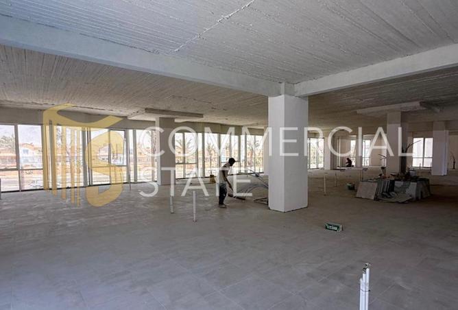 54496577 - Property Image 3