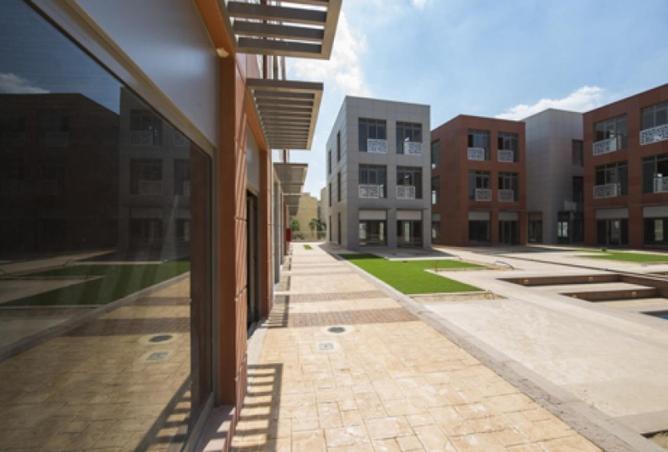 8666258 - Property Image 3