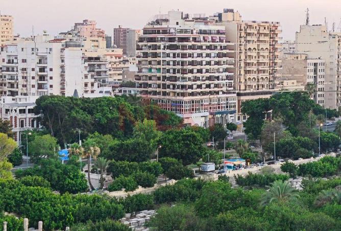 101773990 - صورة العقار 2