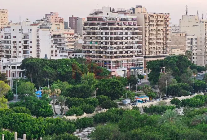 101773990 - صورة العقار 2