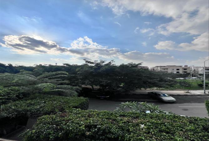 8582047 - الصورة الرئيسية للعقار