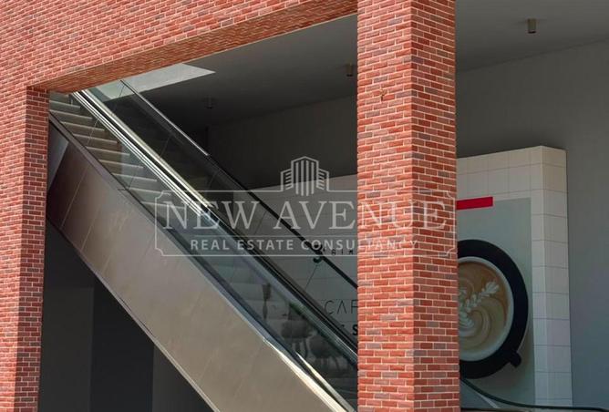 101787742 - Property Image 3
