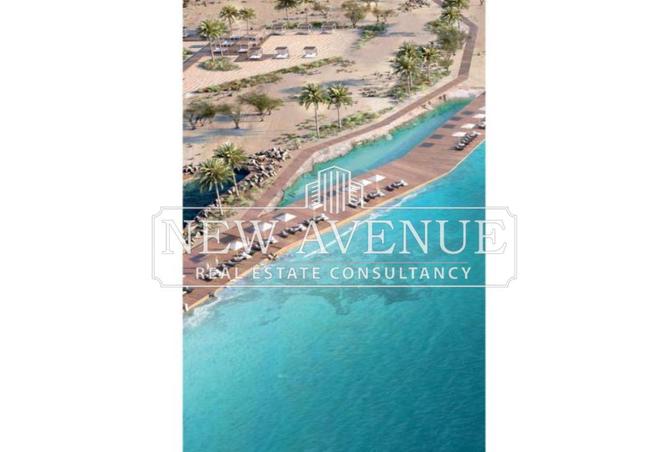 53984800 - Property Image 3