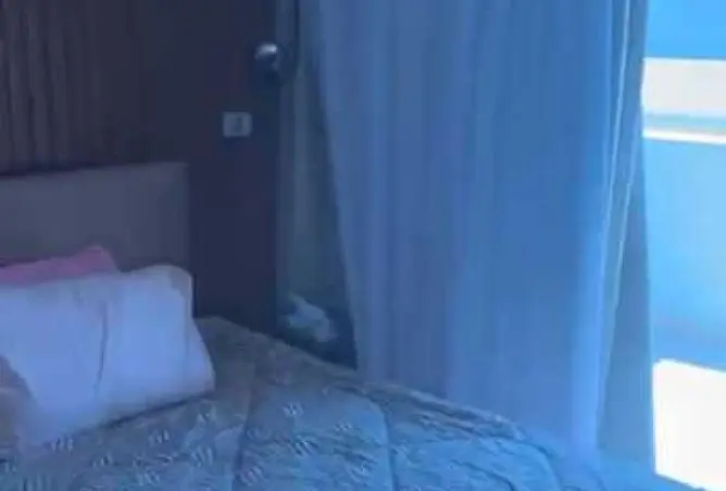 81037123 - صورة العقار 2