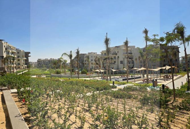 68538867 - صورة العقار 3