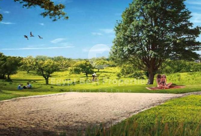 8561698 - Property Image 2