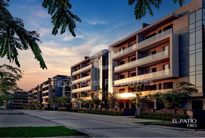 66174529 - صورة العقار 3