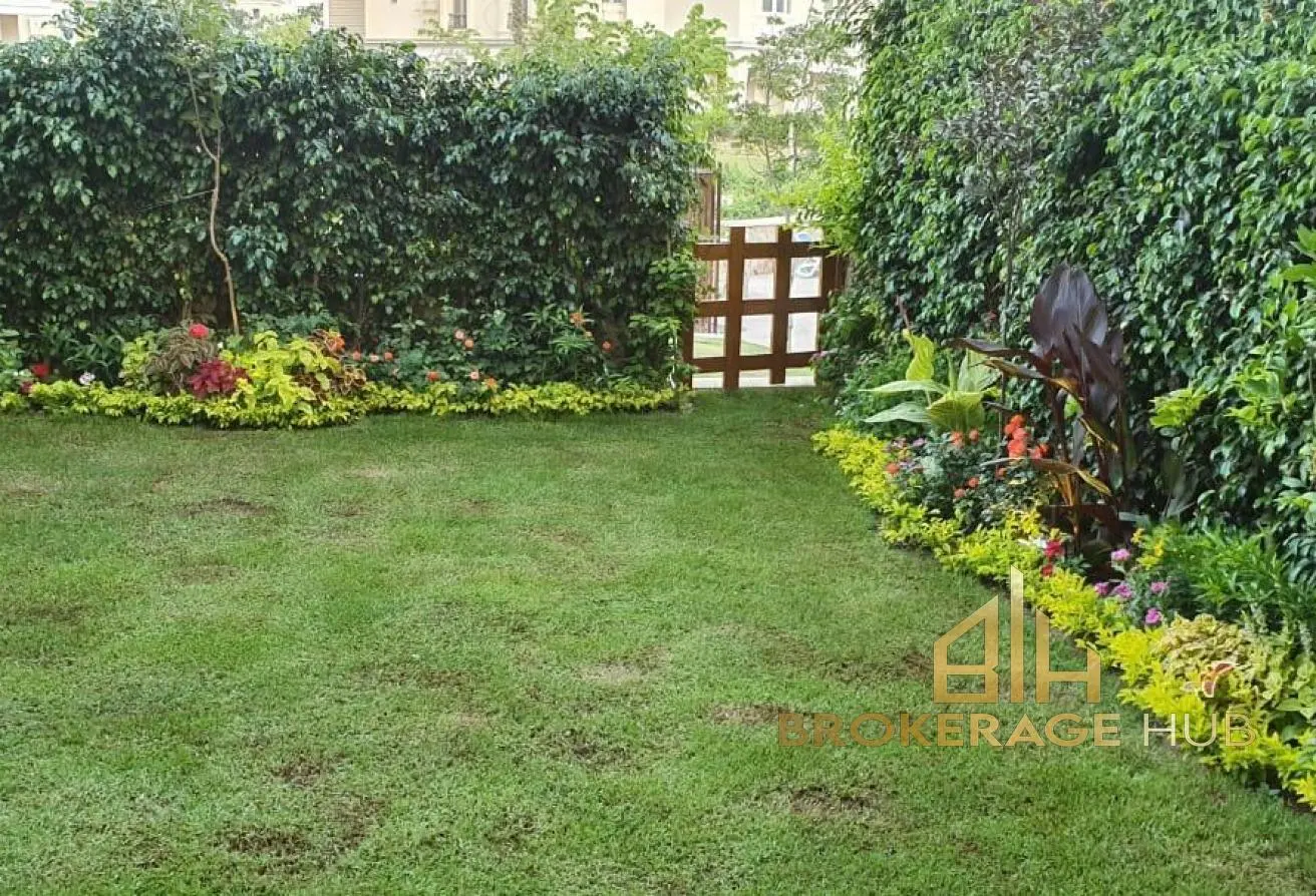 115443078 - Property Main Image