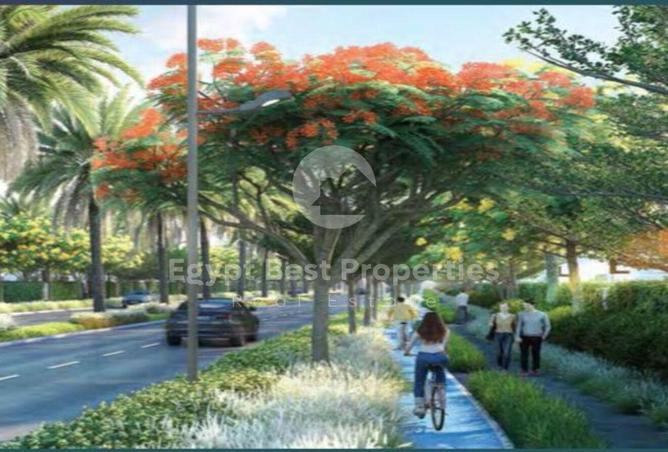 52193594 - Property Image 3