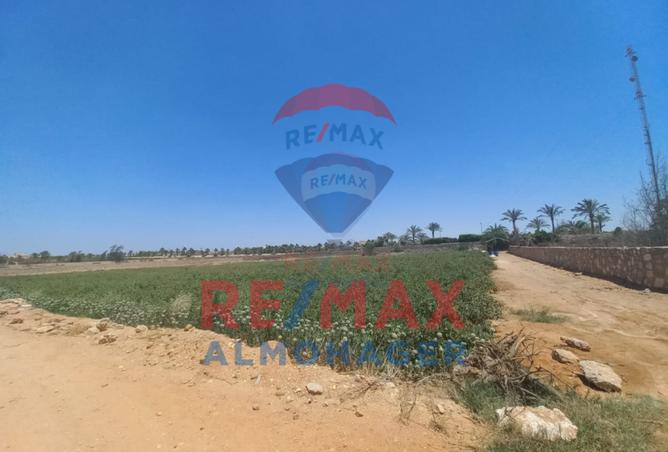 61440945 - صورة العقار 2