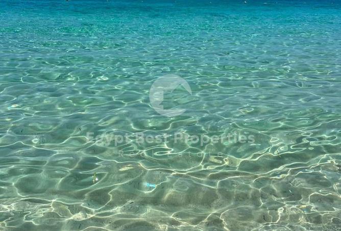 105743542 - Property Image 3