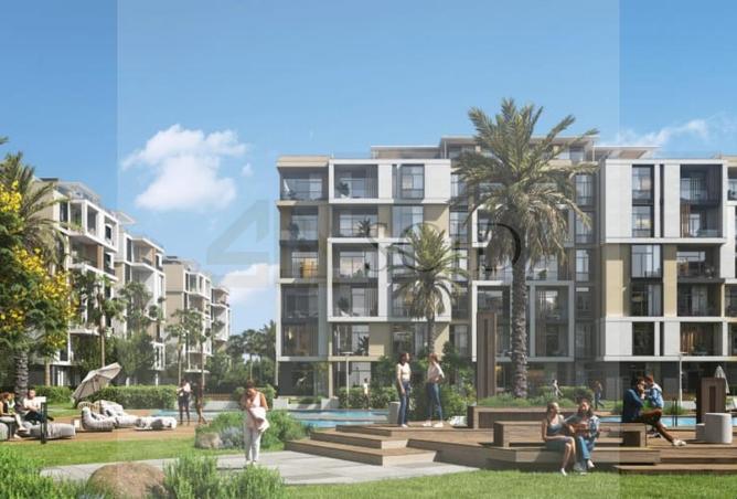 55246688 - Property Image 3