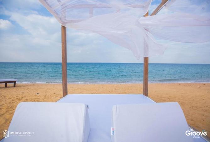 67727784 - Property Image 3