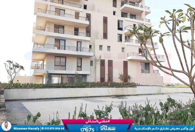 8517501 - Property Image 2