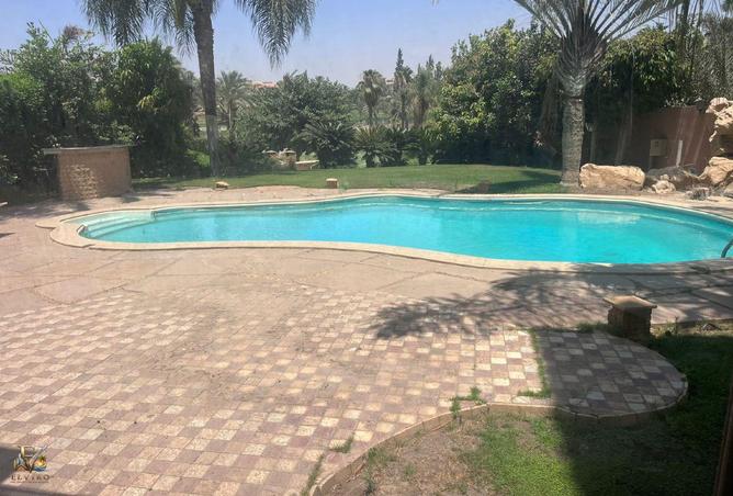 91864222 - صورة العقار 2