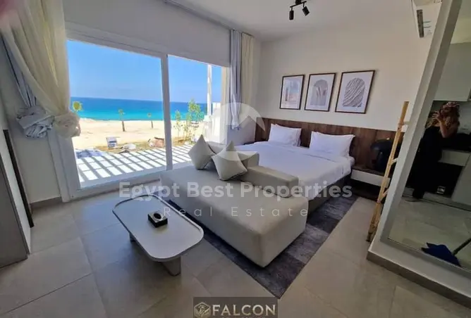 111608562 - Property Image 2