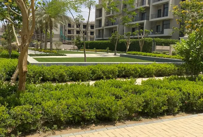 117780352 - Property Image 3