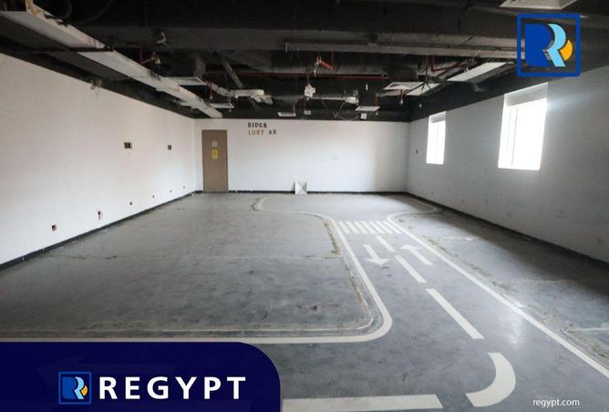 54242631 - Property Image 3