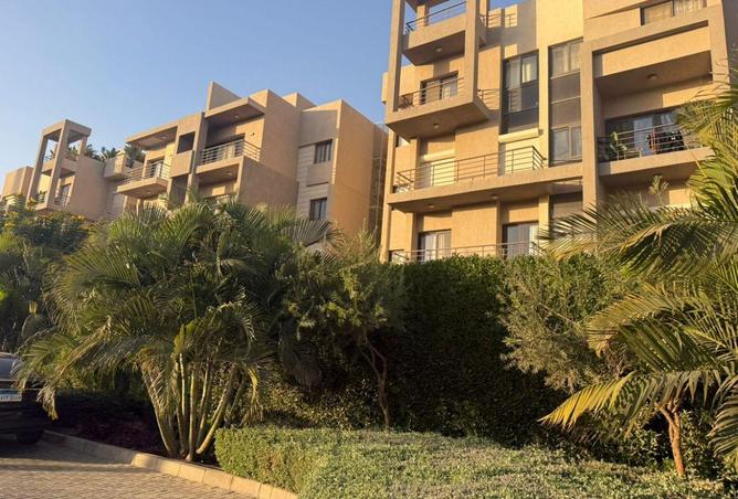 55503544 - Property Image 3