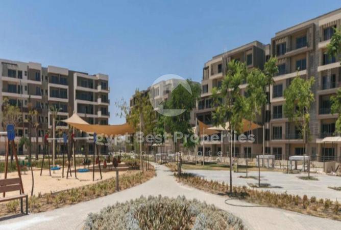 54755619 - Property Image 3