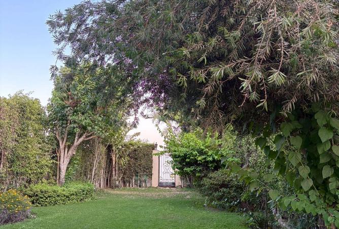 53469861 - صورة العقار 3