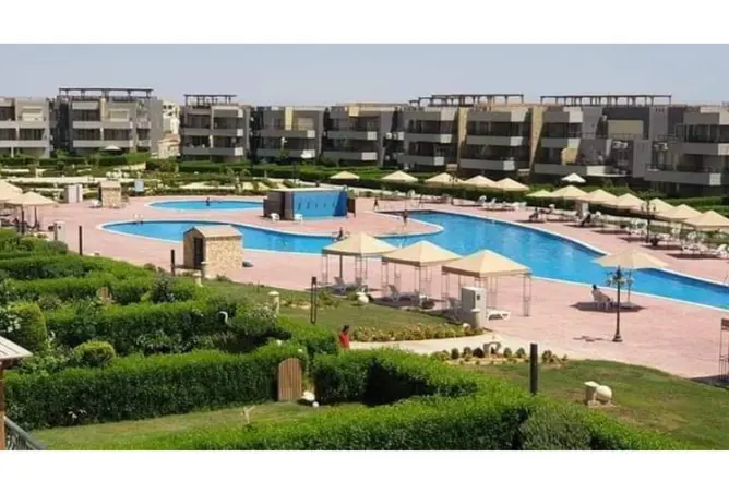 115446787 - صورة العقار 3