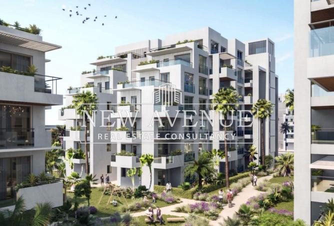 56250432 - صورة العقار 3