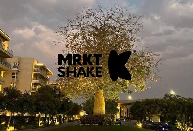 57738190 - Property Image 3