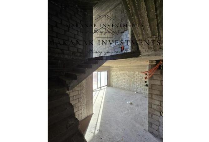 8638192 - Property Image 3