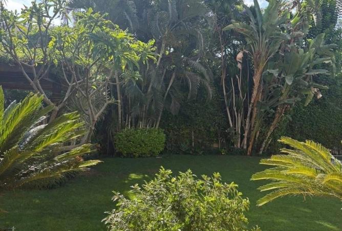 8675066 - Property Image 3