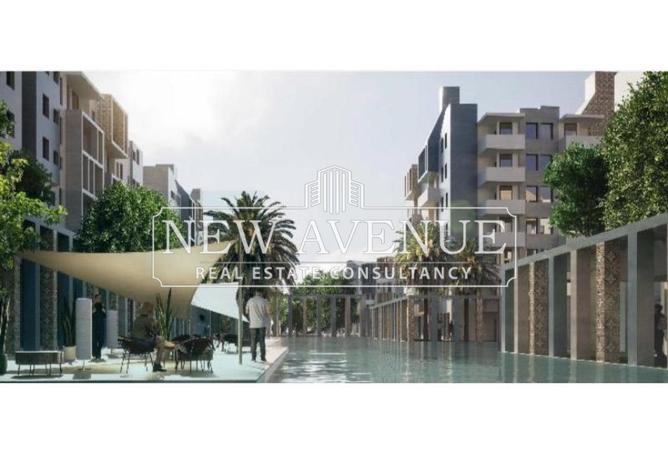 8664406 - Property Image 3