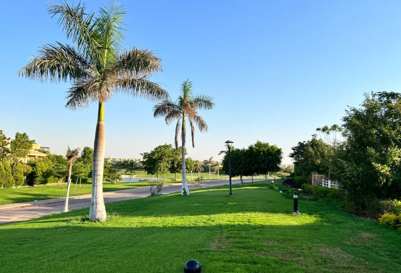 115458202 - الصورة الرئيسية للعقار