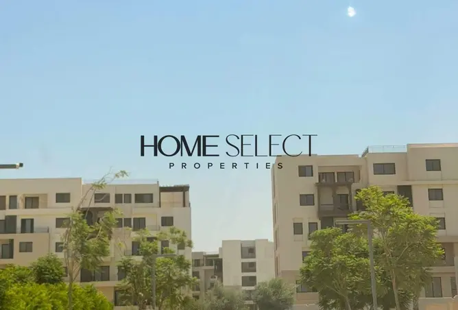 115453347 - Property Image 3