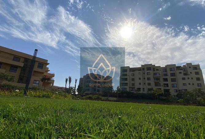97132427 - Property Image 3