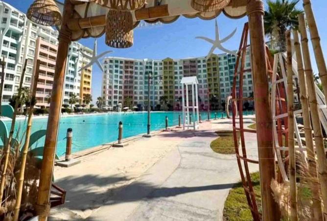 67737336 - Property Image 3