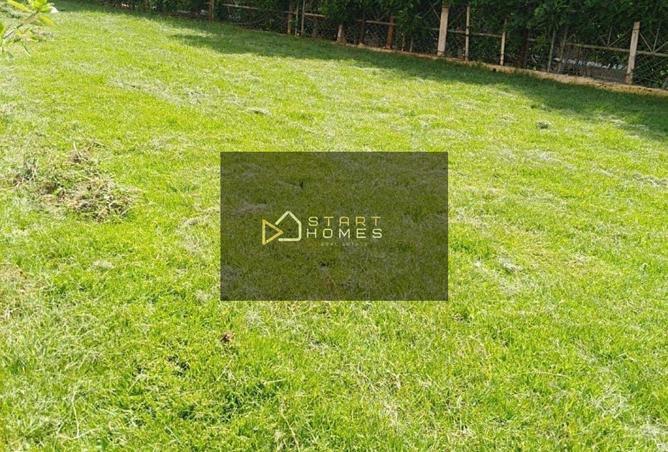 72450847 - Property Image 2