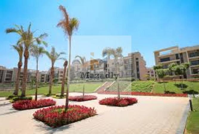 65919465 - Property Image 2