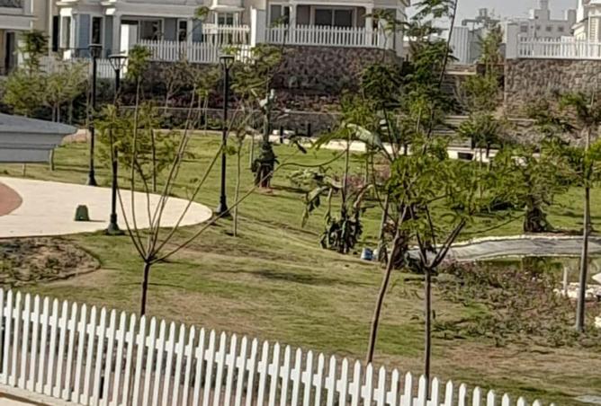 53728915 - Property Image 2