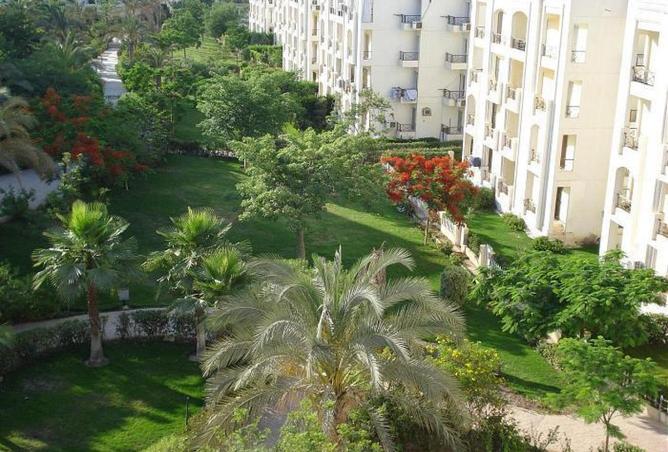 8656595 - صورة العقار 3