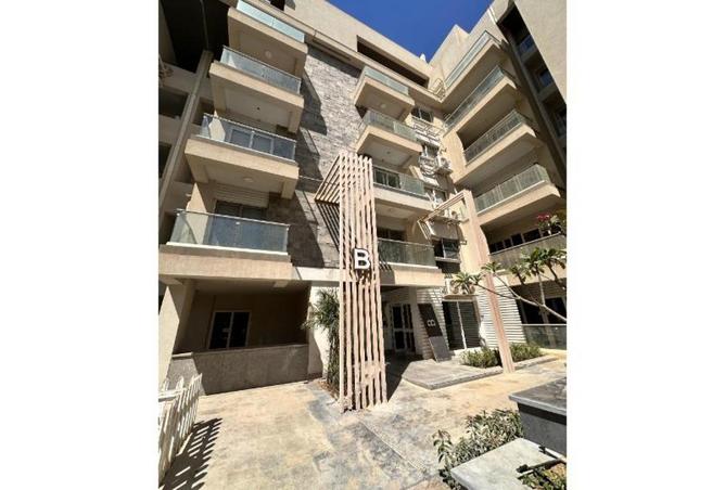 53729887 - Property Image 3