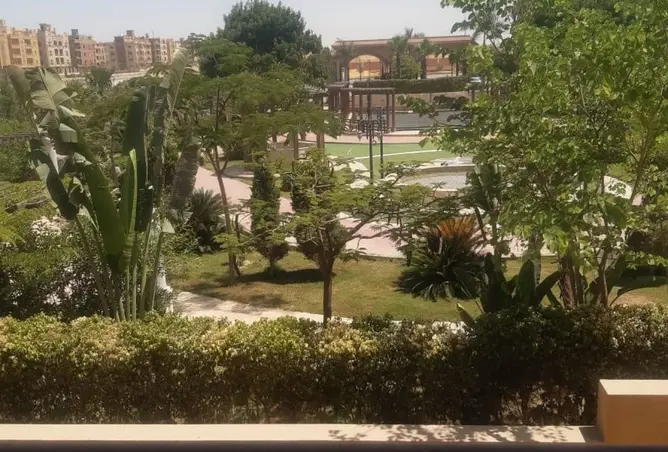 109630369 - Property Image 3