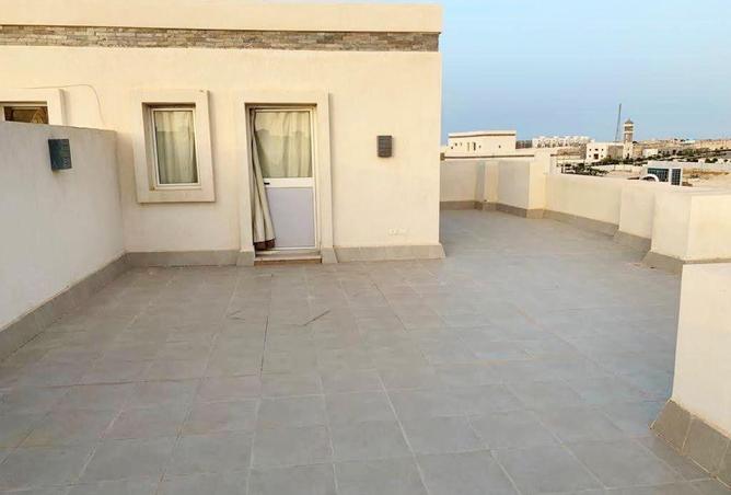 63397565 - Property Image 2