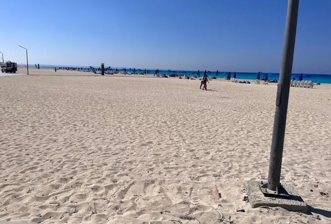 109918520 - صورة العقار 2