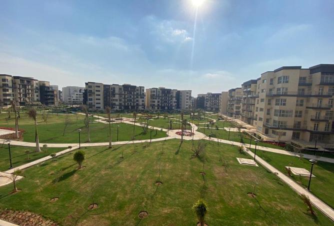 8587981 - Property Image 3